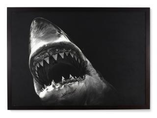 Robert Longo - Caligula