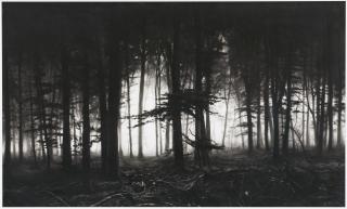 Robert Longo - Forest of Doxa