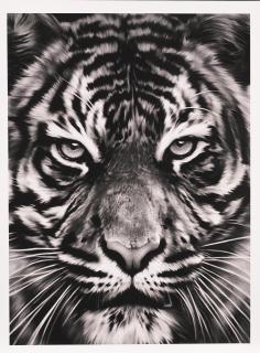 Robert Longo - Leo