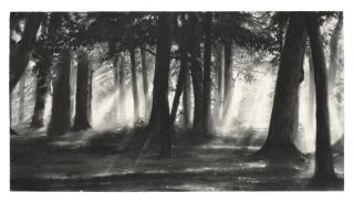 Robert Longo - Study for Golden Forest
