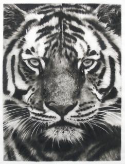 Robert Longo - Study For Last Tiger 4B