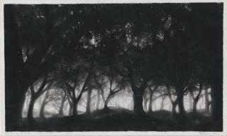 Robert Longo - Study For Mid-Summer\'S Night Forest