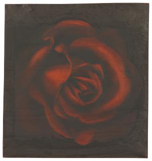 Robert Longo - Study For Ophelia #1B