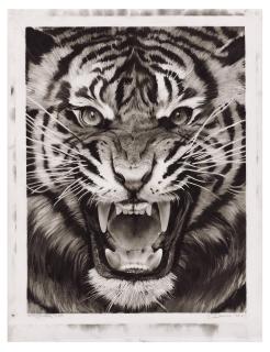 Robert Longo - Study for Roaring Tiger