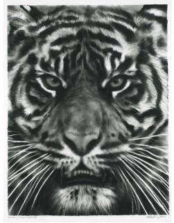 Robert Longo - Study For Tiger Head 3B