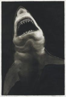 Robert Longo - Study Of Breaching Shark