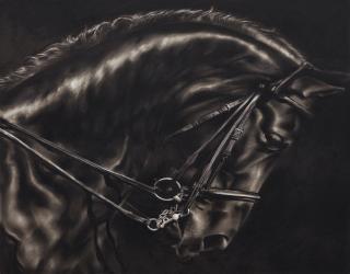 Robert Longo - Study Of Stallion\'S Arc