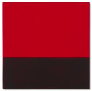 Robert Longo - Untitled (Amazon Landscape)