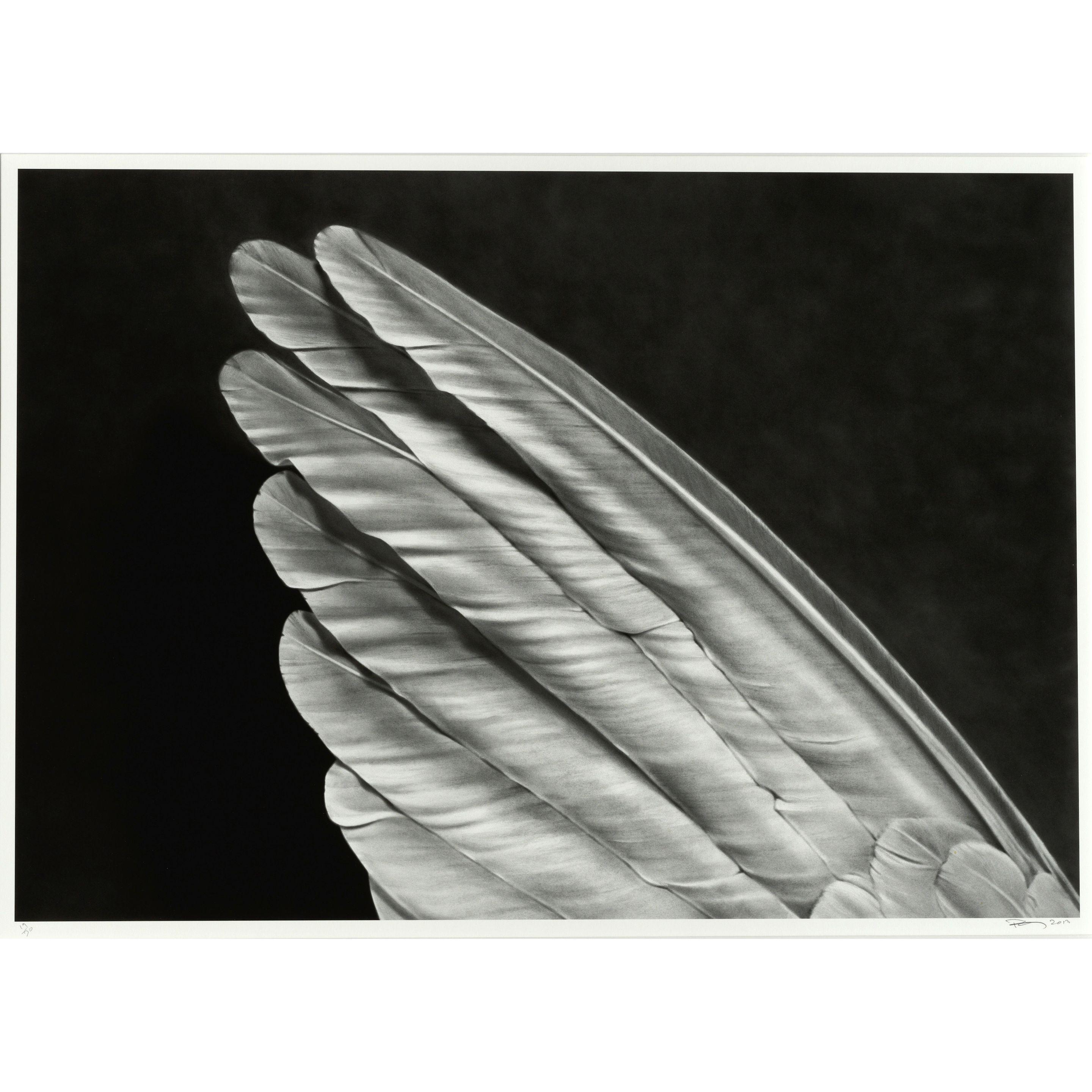 Robert Longo - Untitled (Angel\'s Wing) (Small Version)