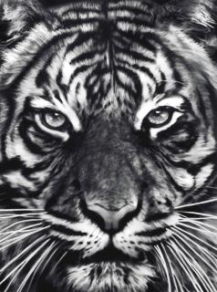 Robert Longo - Untitled (Leo)