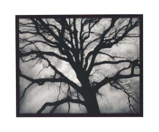 Robert Longo - Untitled (May 23, No. 1, Brooklyn)