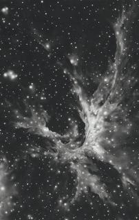 Robert Longo - Untitled (Wing Nebula)