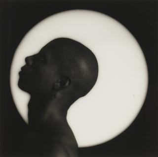 Robert Mapplethorpe - André, 1984