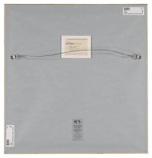 Robert Mapplethorpe - Baby\'s Breath