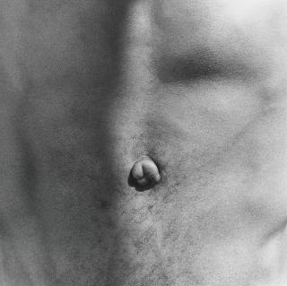Robert Mapplethorpe - Belly Button, 1986
