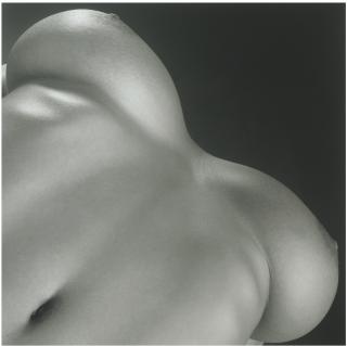Robert Mapplethorpe - \'Breasts\', 1987Silver Print, Printed 1987, Flush-Mounted To Card. Signed, Dated And Numbered In The Lower Margin. With The Photographer\'S Signed Copyright Stamp On The Reverse. Ed. 5/10. Monté Et Encadré.