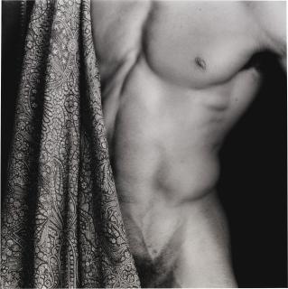 Robert Mapplethorpe - Chest/Carlton, 1987