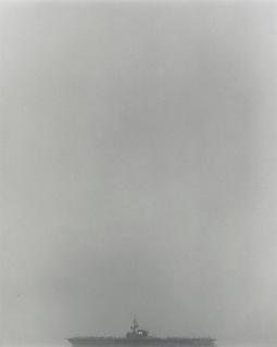 Robert Mapplethorpe - Coral Sea, 1983