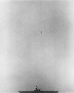 Robert Mapplethorpe - Coral Sea, 1983