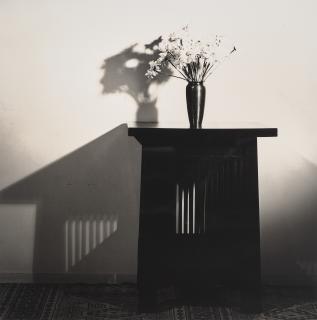 Robert Mapplethorpe - Daisies, 1978