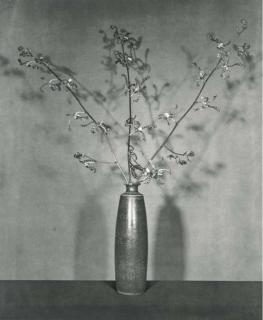 Robert Mapplethorpe - Flower (Tiger Orchids), 1983