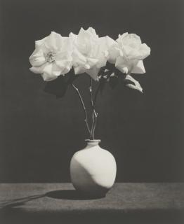 Robert Mapplethorpe - \'Flowers\'