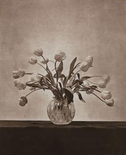 Robert Mapplethorpe - From the Suite: Flowers