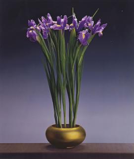 Robert Mapplethorpe - Irises, 1988