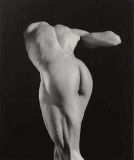 Robert Mapplethorpe - Michael Reed, 1987