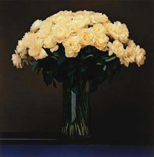 Robert Mapplethorpe - Roses, 1988
