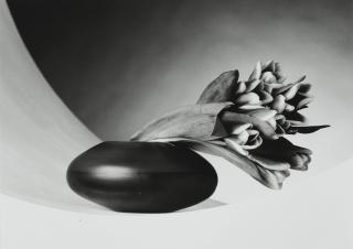 Robert Mapplethorpe - Selected Images