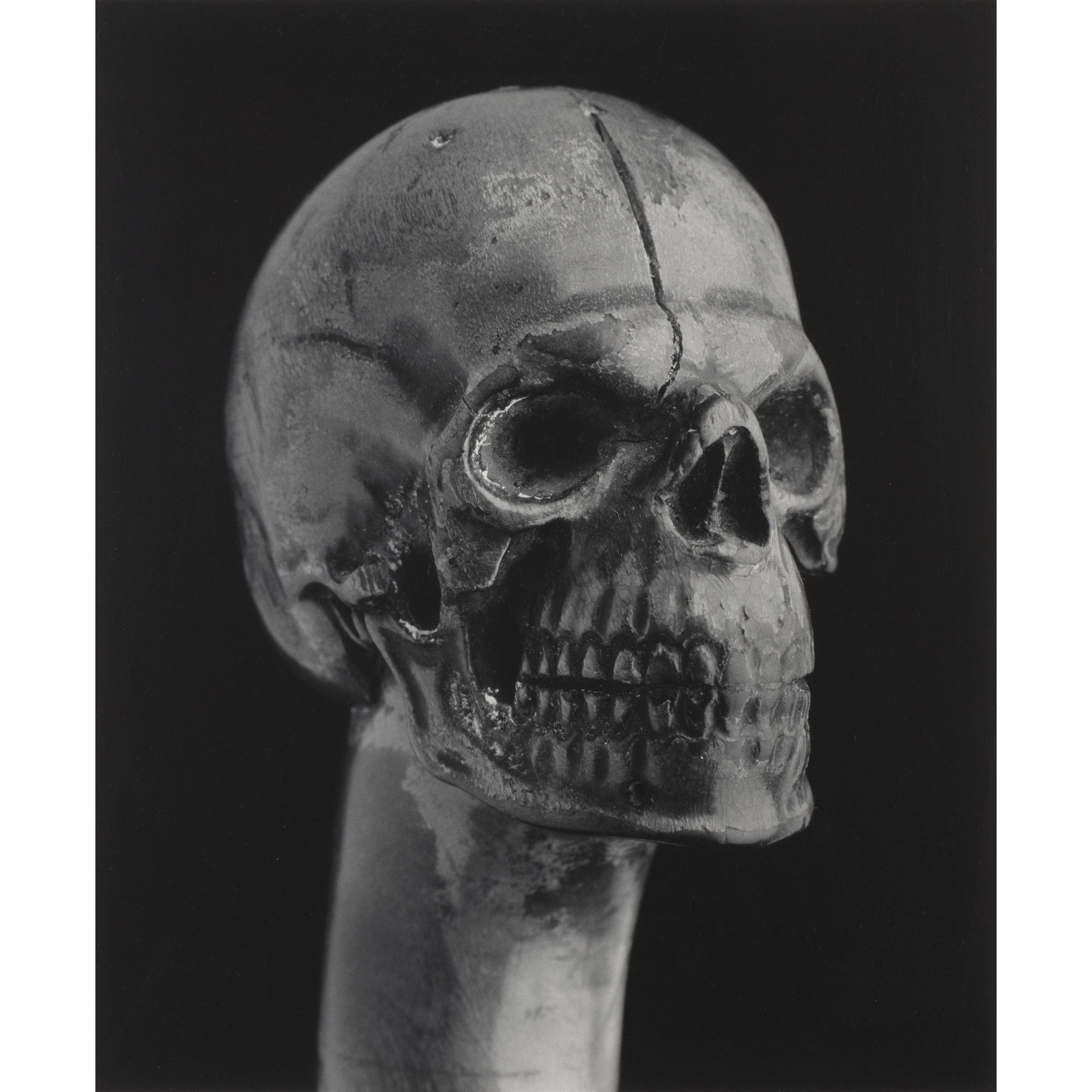 Robert Mapplethorpe - Skull Walking Cane