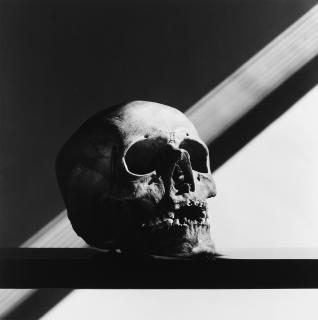 Robert Mapplethorpe - \'Skull\'