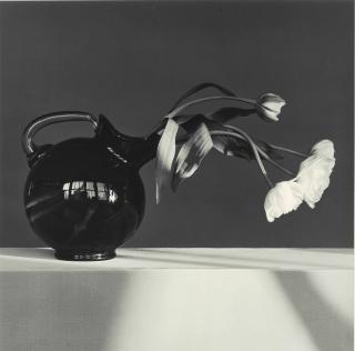 Robert Mapplethorpe - Tulips, 1982
