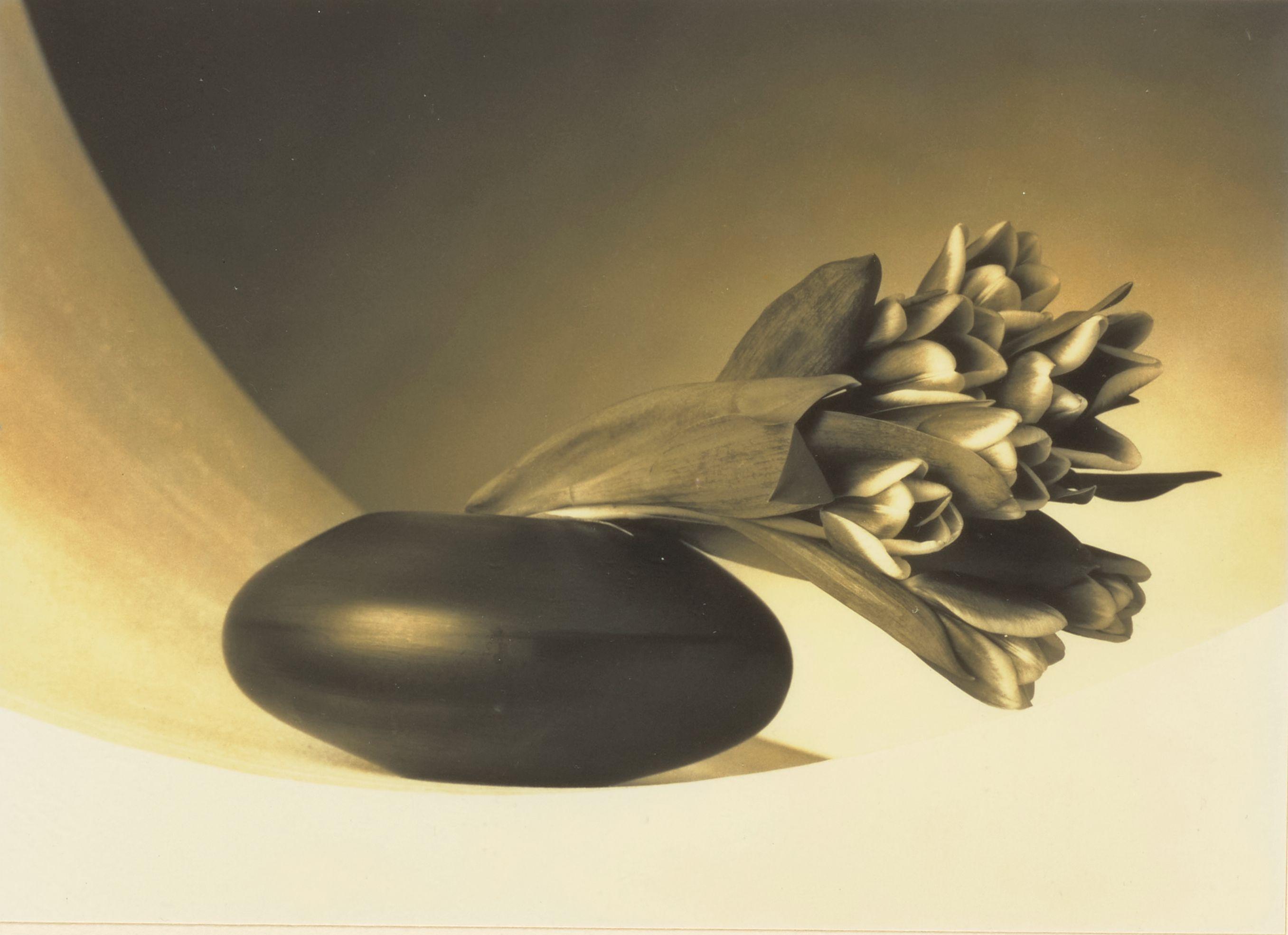 Robert Mapplethorpe - Tulips (Just to Thank You)