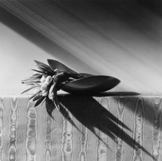 Robert Mapplethorpe - Tulips