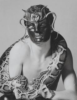 Robert Mapplethorpe - Untitled, 1981