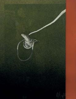 Robert Mapplethorpe - Untitled