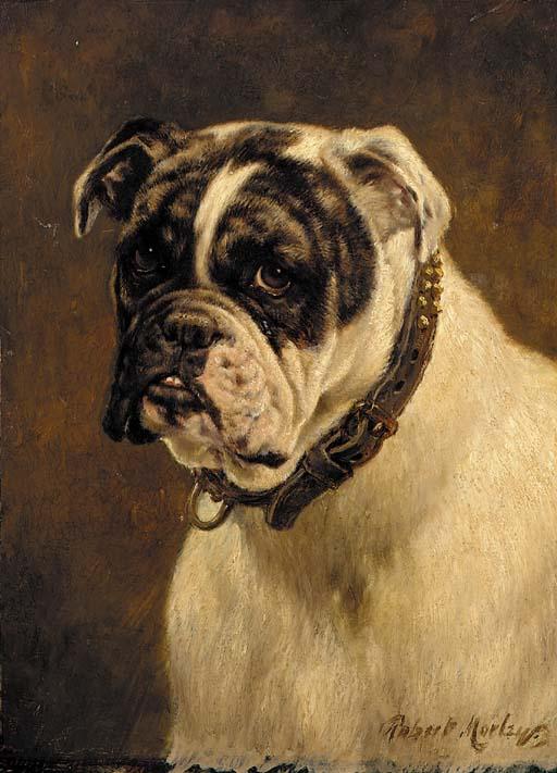 Robert Morley - A bulldog