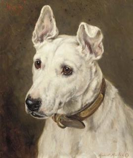 Robert Morley - Nap, a terrier