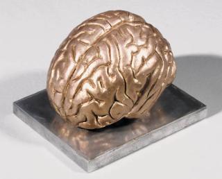 Robert Morris - Silver Brain