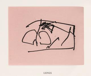 Robert Motherwell - Ulysses