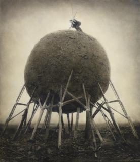 Robert Parkeharrison - \'Kingdom\'