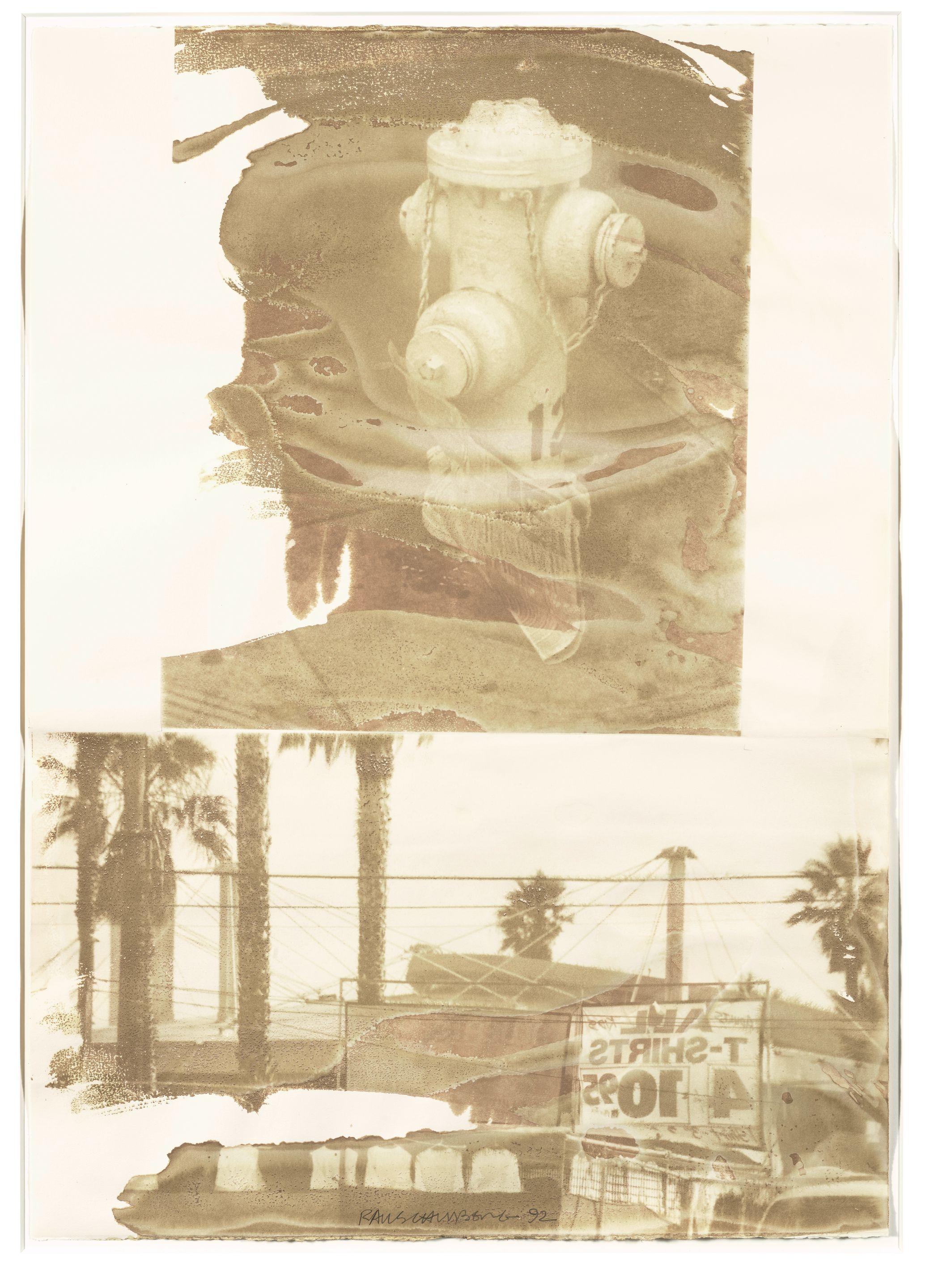 Robert Rauschenberg - Burt\'s Special (Waterworks)