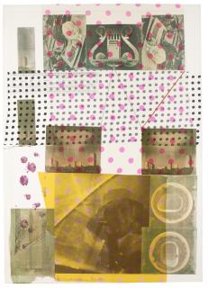 Robert Rauschenberg - Cage