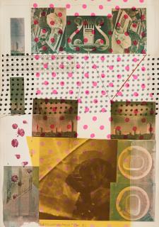 Robert Rauschenberg - Cage