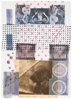 Robert Rauschenberg - Cage