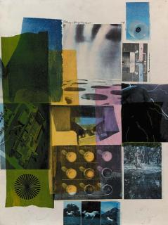 Robert Rauschenberg - Colony