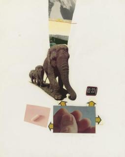 Robert Rauschenberg - Horsefeathers Thirteen-Xv, From Horsefeathers Thirteen Series (Gemini 428)