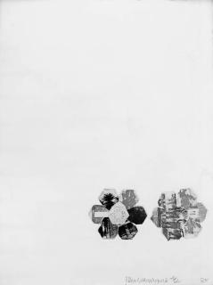 Robert Rauschenberg - L.A. Flakes (G. 1040-47)